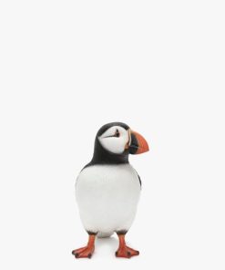 Theoutfitco.shop6001b62674 3